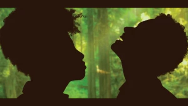 Black shilouettes against a green forest background