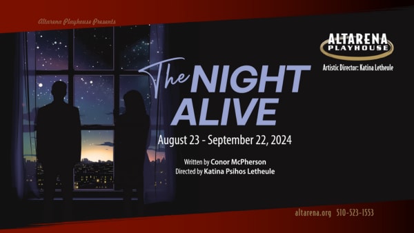 A night sky filled with stars and a city landscape. There is a couple in silhouette.