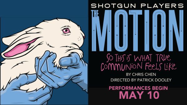 a slightly nervous-looking white rabbit with pink eyes and pink inner ears, being held by blue hands