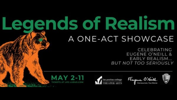 A bear with an eyepatch