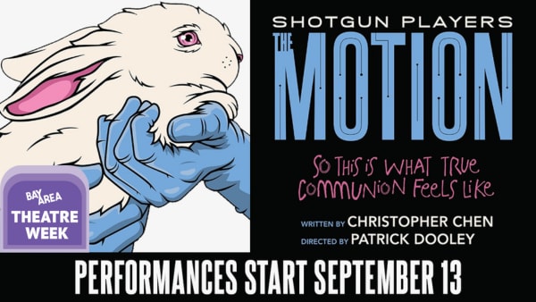 a slightly nervous-looking white rabbit with pink eyes and pink inner ears, held by blue hands