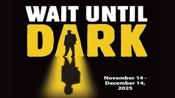 wait until dark poster