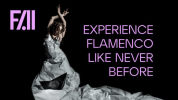 Image of flamenco dancer.