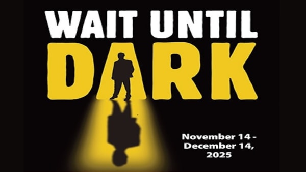 wait until dark poster