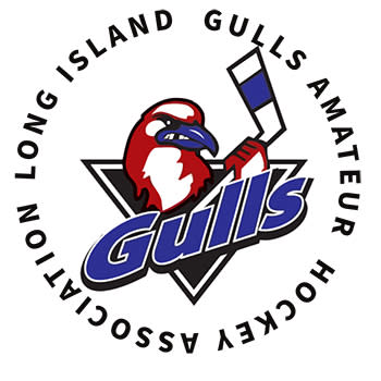 Gulls Hockey