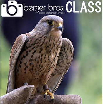 Berger Bros. Photography Class