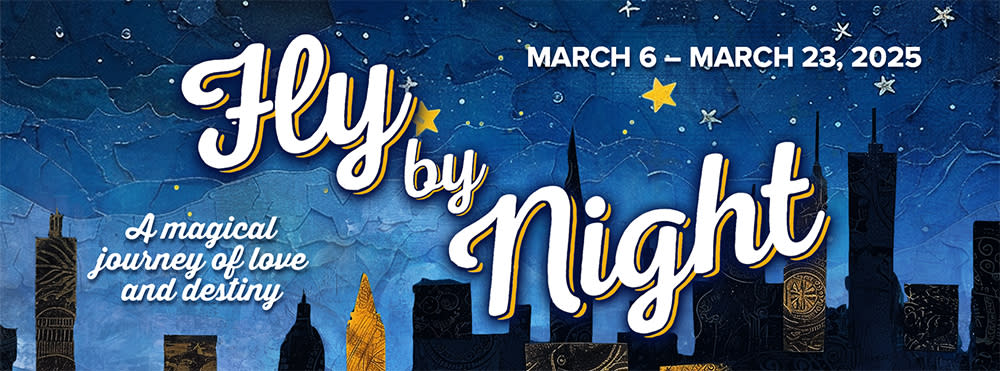 Title of show set against a starry night with a cityscape behind.