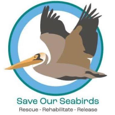 Photo of the Save Our Seabirds logo