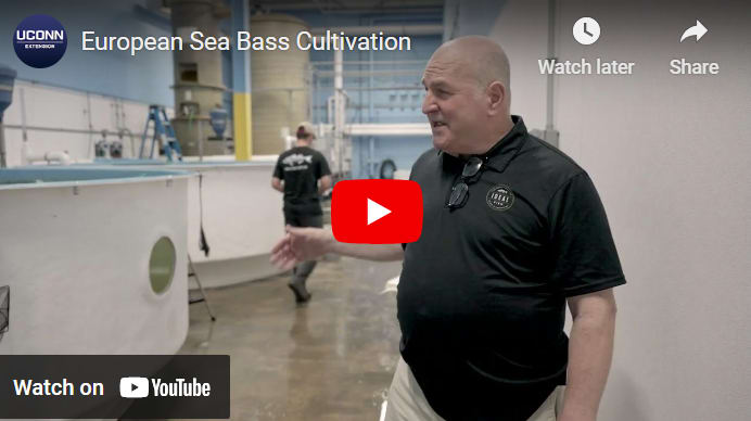 sea grant aquaculture videos