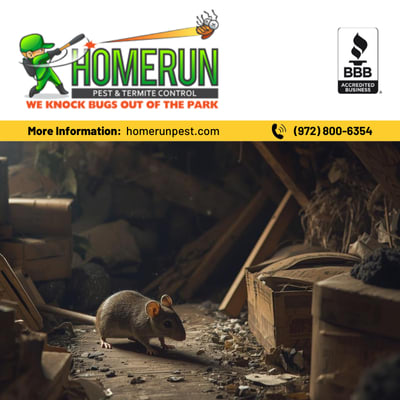 Have rodents in attic?  Let Home Run Pest & Termite help!