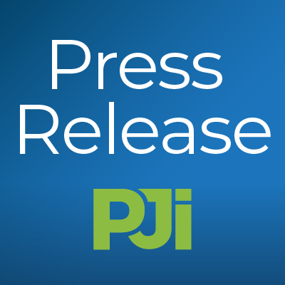 Carolina GSE Recognizes Its Global Expansion with Pilot John International