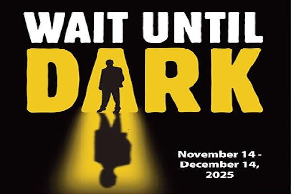 wait until dark poster