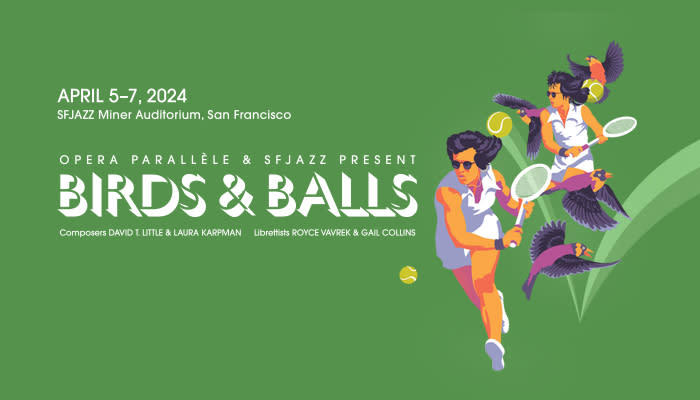 birds and balls poster