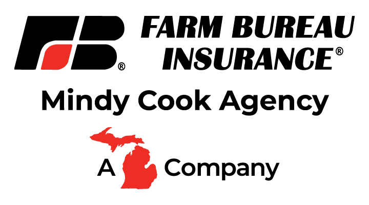 mindy cook, holland insurance, zeeland insurance, auto insurance, home insurance, insurance mom, grand rapids, kalamazoo