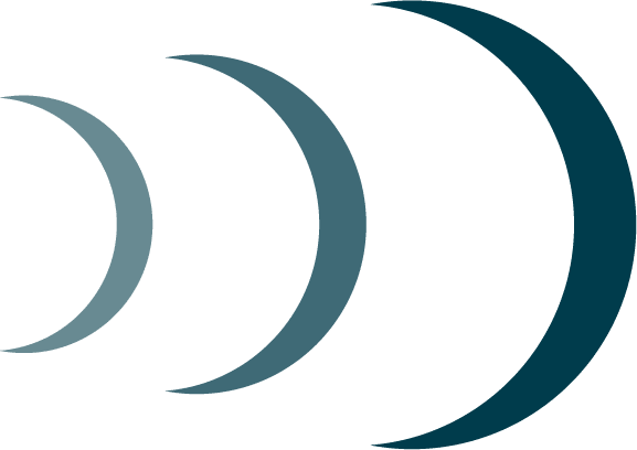 33Dolphins Growth Strategy - icon