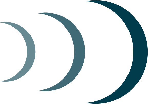 33Dolphins Growth Strategy - icon