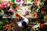 Florist & Flower Shops
