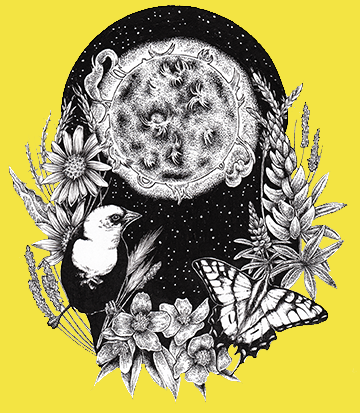Solstice by Alyssa Eckert