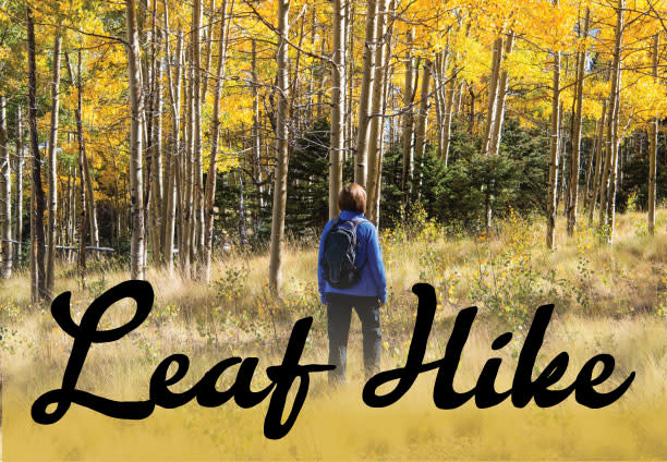 Leaf Hike