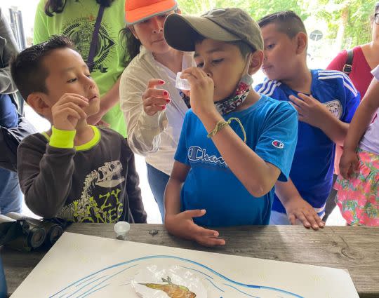 children studying a nature specimen in a magnifier at Sheldrake