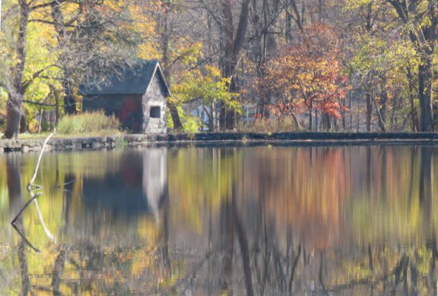 bird blind and autumn trees reflected in the pond at Sheldrake