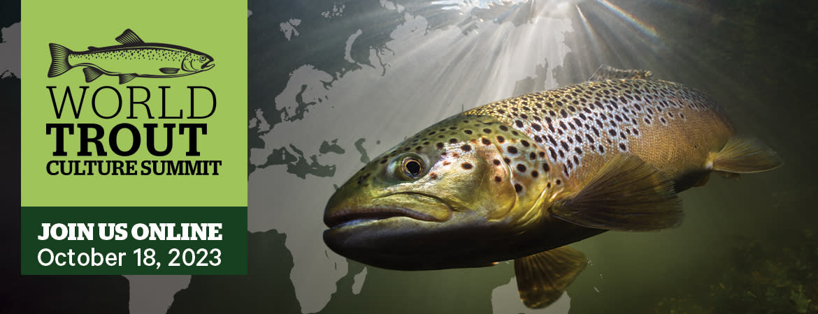 world trout culture summit