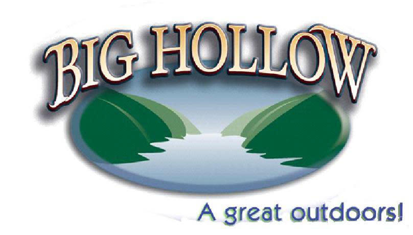 Big Hollow logo