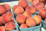 Peaches at the Monticello Farmer’s Market on North Street, across from the Government Center.