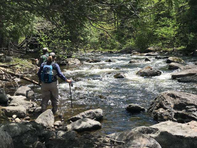 two fly anglers wading through a river in the Rangeley area