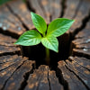 plant in stump (AI)