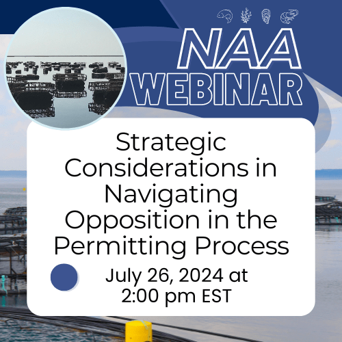 webinar flyer