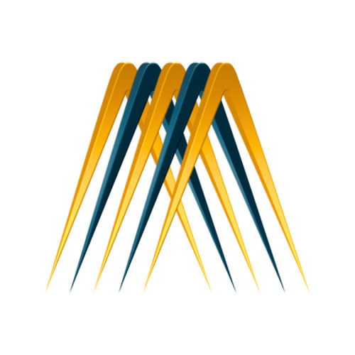 MetaSense Digital Marketing Management Inc.