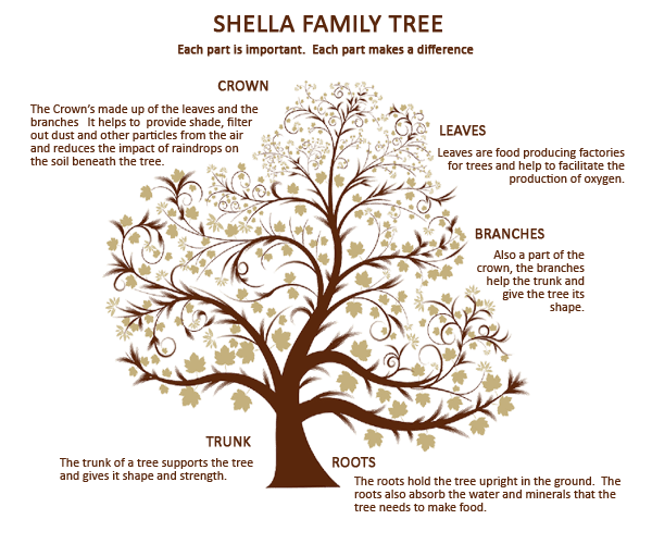 Shella Family Tree