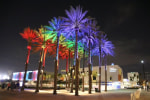 Light Up Tampa, Light Up St. Pete, Light Up Tampa Bay, Light Up with Pride