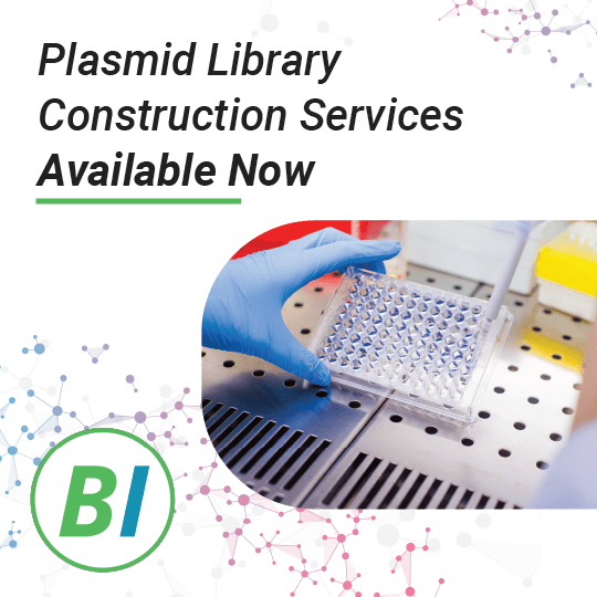 Plasmid Library Construction Services Available Now