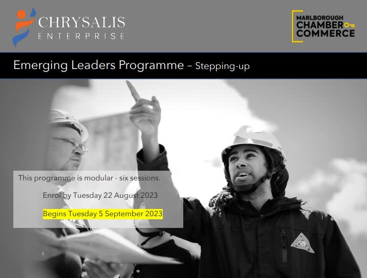 Emerging Leaders 2023