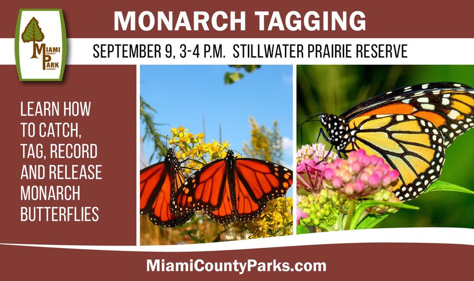 Monarch Tagging - Troy Area Chamber of Commerce