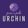Purple Urchin