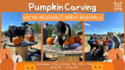 Outside Inn Pumpkin Carving promo image