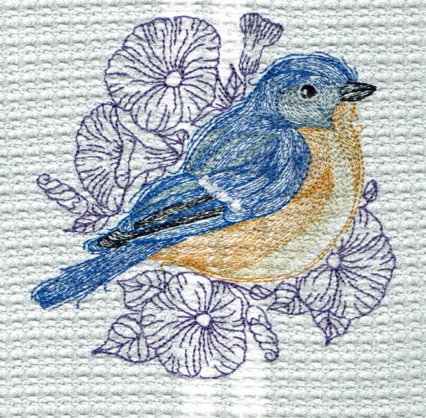 Towels are $20.00  various colored stock