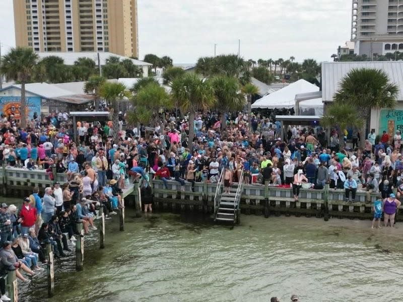 2025 Pensacola Beach Polar Bear Plunge Pensacola Beach Chamber of