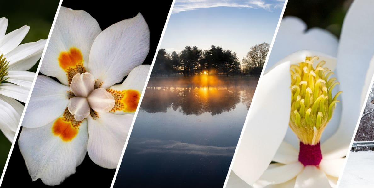 samples of fine art photography available for purchase