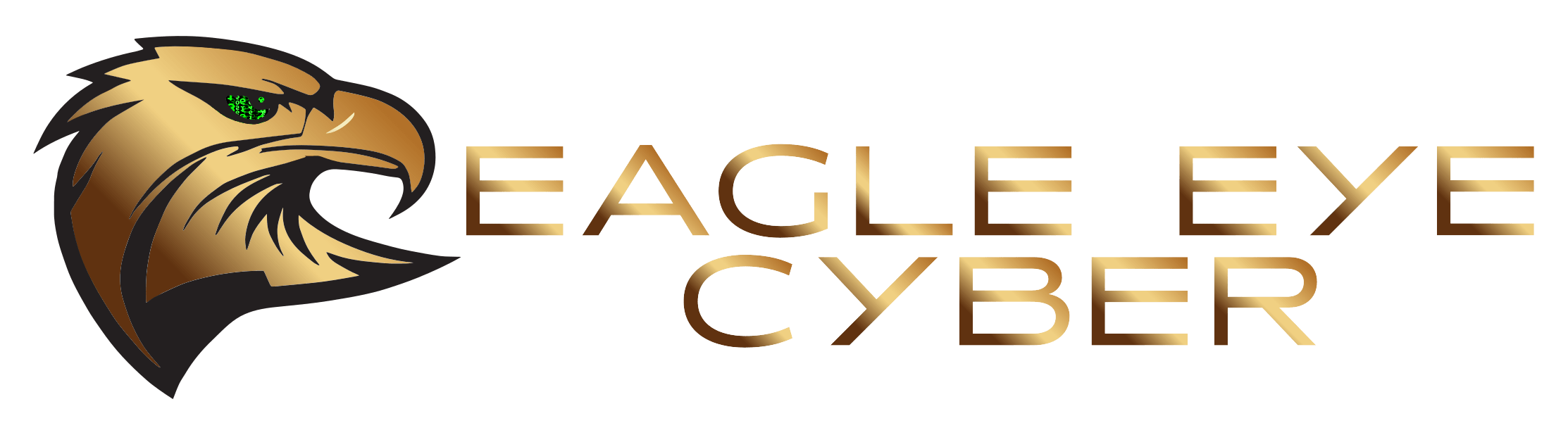 Eagle Eye Cyber