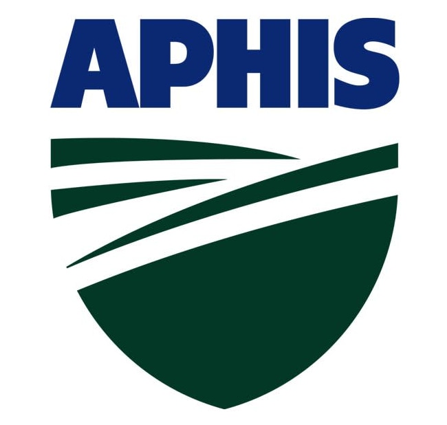 aphis