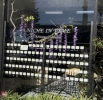 A Niche in Tyme
