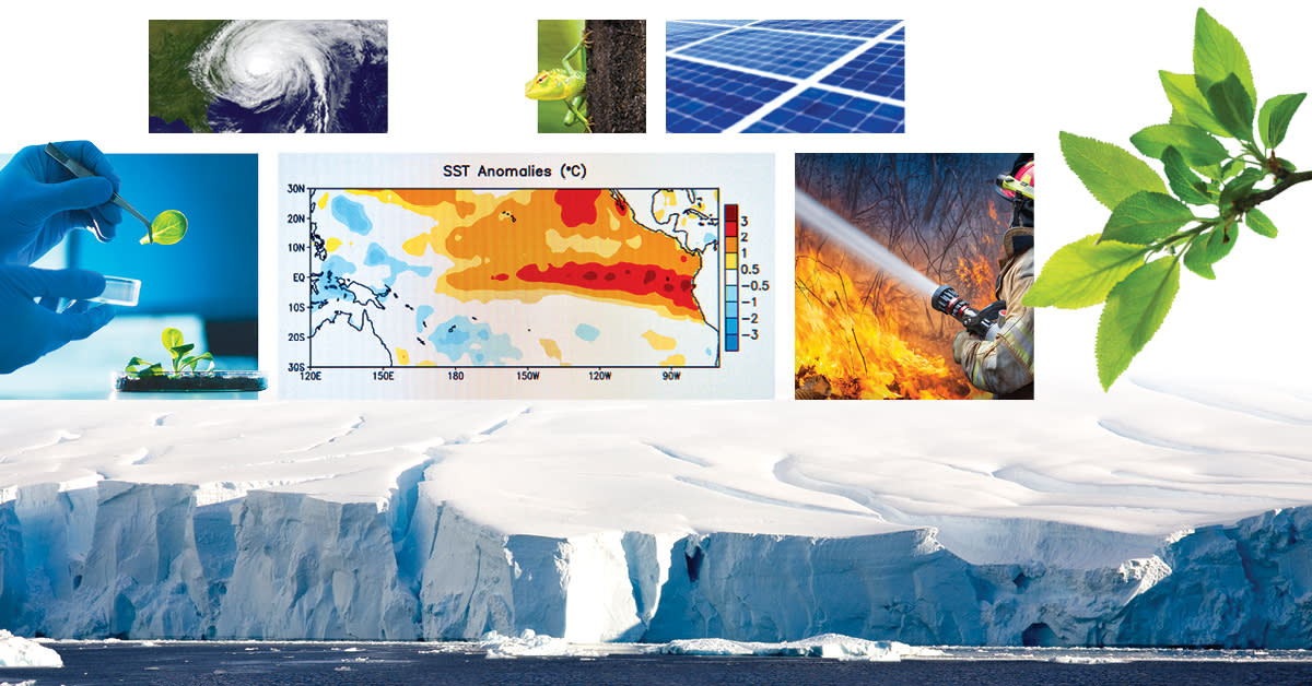 This is a photo collage depicting the impacts of climate change, including hurricanes, wildfires and melting glaciers.