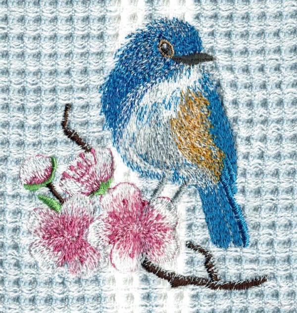 Towels are $20.00  various colored stock