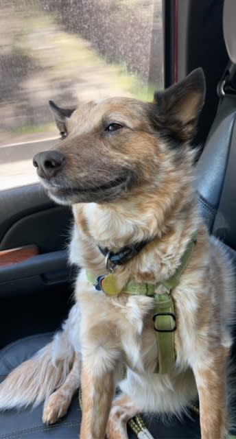 Chief Morale Officer