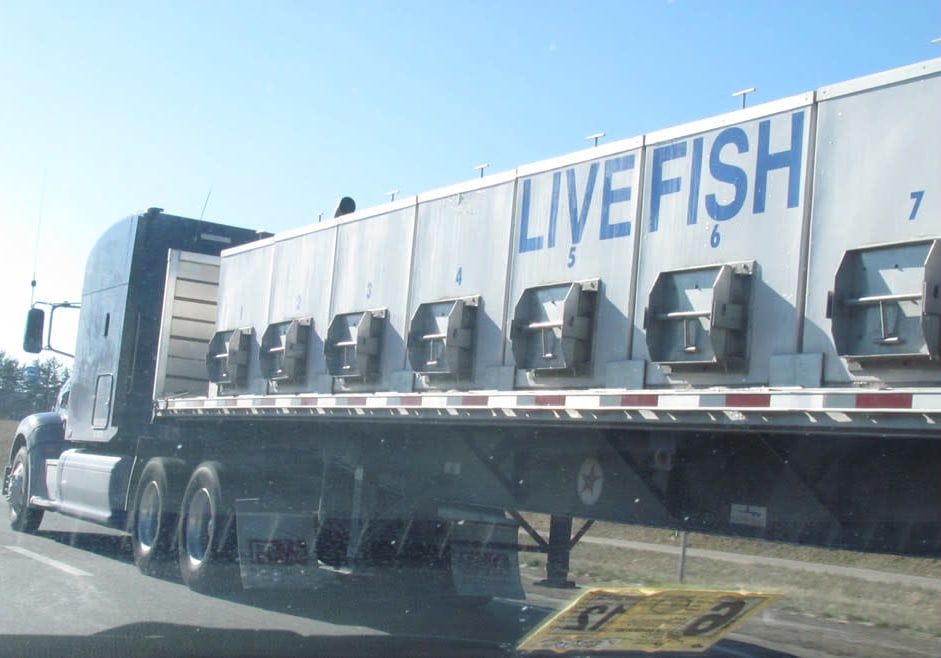 flat bed fish truck