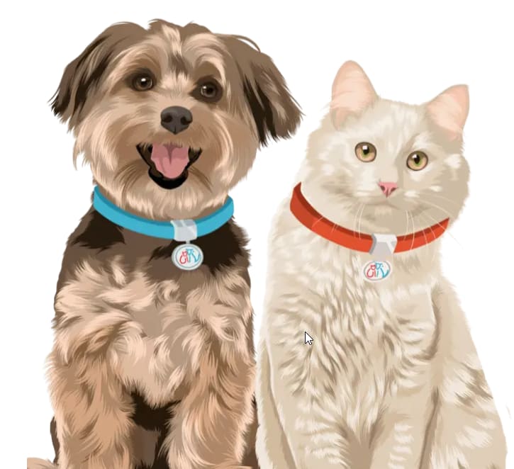 UrgentVet Elgin Illinois